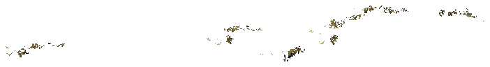 xs_combined2_dystdecal_10