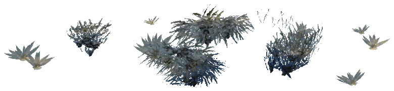 xs_terrain_plant_arena_01_01