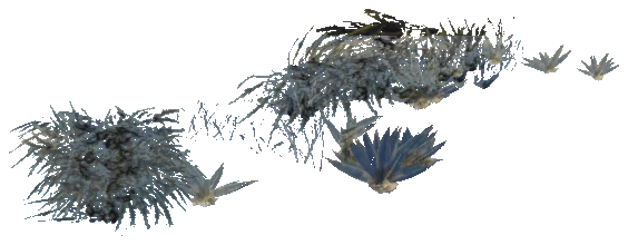 xs_terrain_plant_arena_01_02