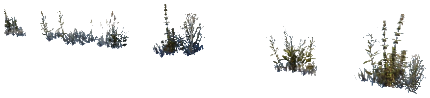 xs_terrain_prop_weeddry_nxg02