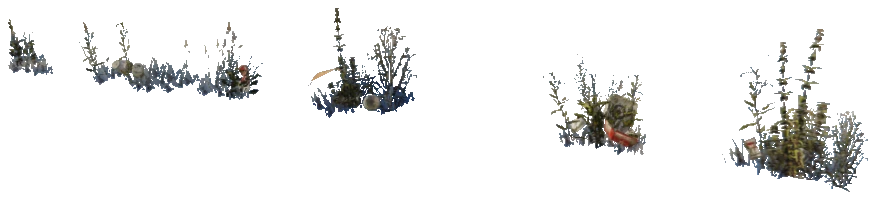 xs_terrain_prop_weeddry_nxg02b