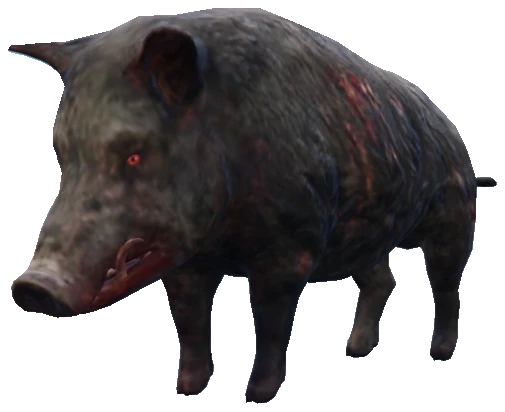 A_C_Boar_02