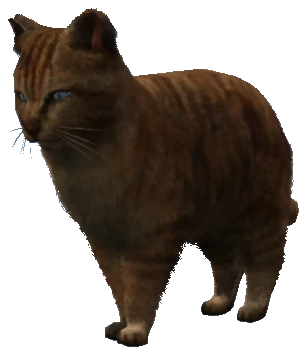 A_C_Cat_01