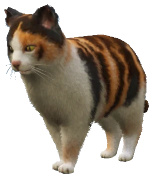 A_C_Cat_02