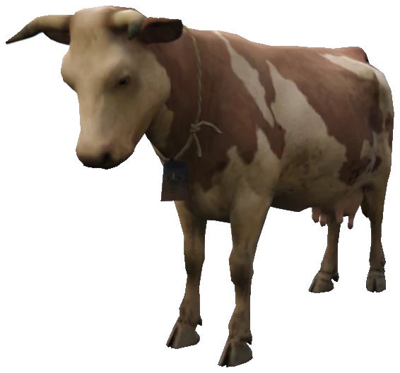 A_C_Cow