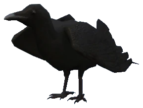 A_C_Crow
