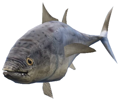 A_C_Fish