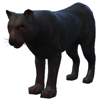 A_C_MtLion_02