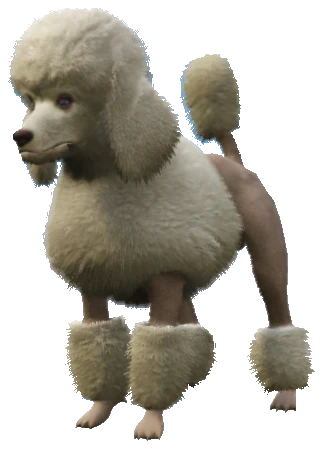 A_C_Poodle