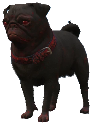 A_C_Pug_02