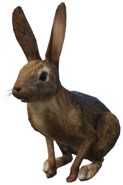 A_C_Rabbit_02