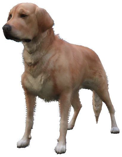 A_C_Retriever
