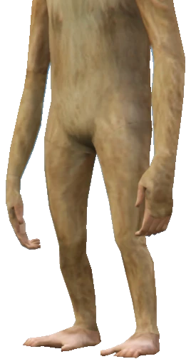 A_C_Rhesus