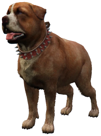 A_C_Rottweiler_02