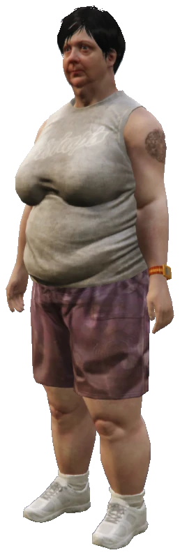 CSB_Maude