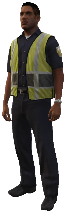 IG_TrafficWarden